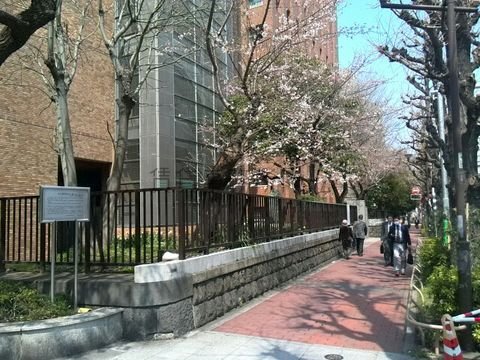 東京医科歯科大学裏門入口