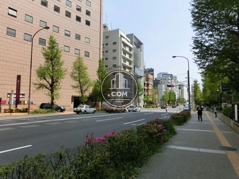 大通り
