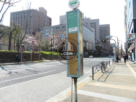 大通り