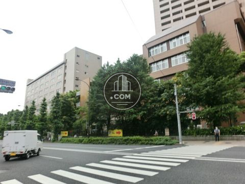 大通り