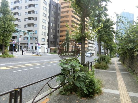 大通り