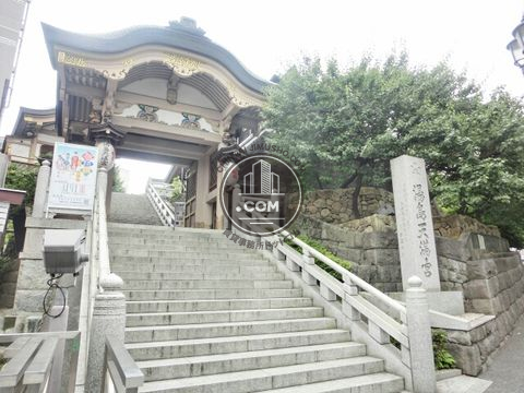 大通り