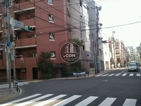 大通り