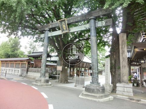 大通り