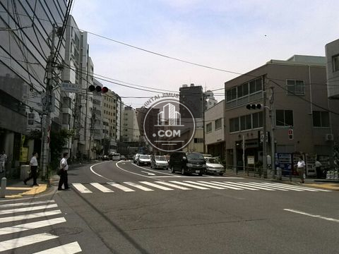 大通り