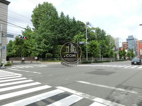 大通り