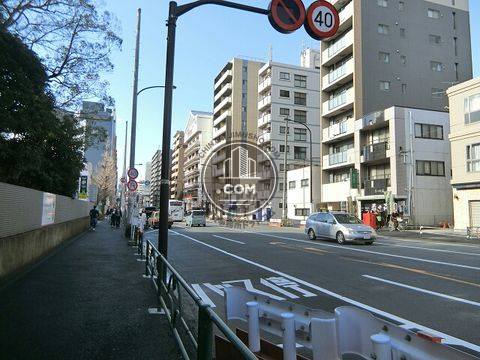 大通り