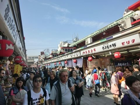観光客が多く訪れます