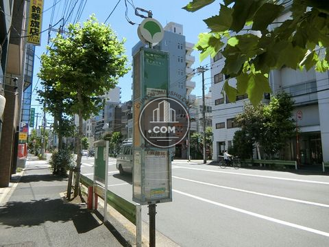 大通り