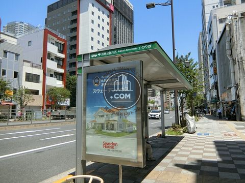 大通り