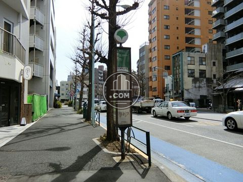 大通り