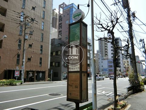 大通り