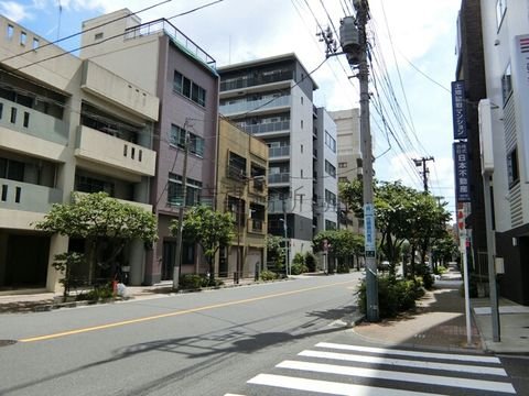 一葉桜・小松橋通り