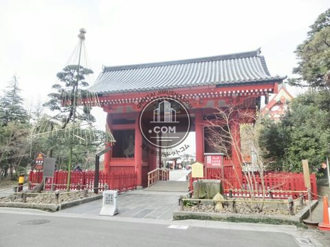 大通り