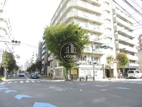 大通り