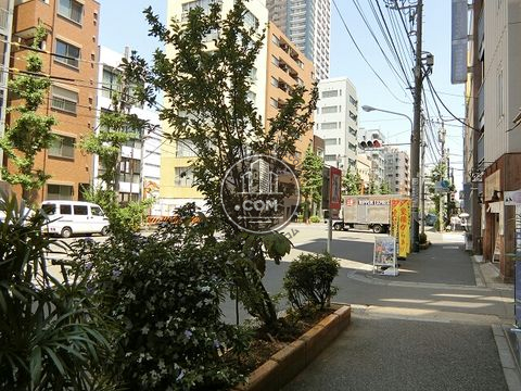 大通り