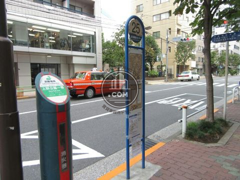 大通り