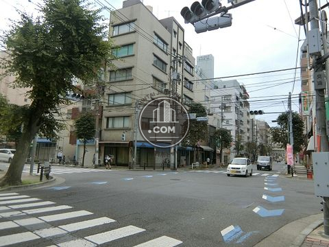 大通り