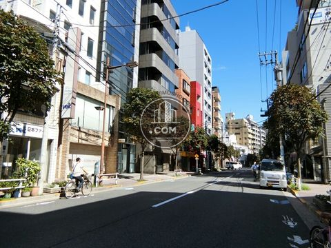 大通り