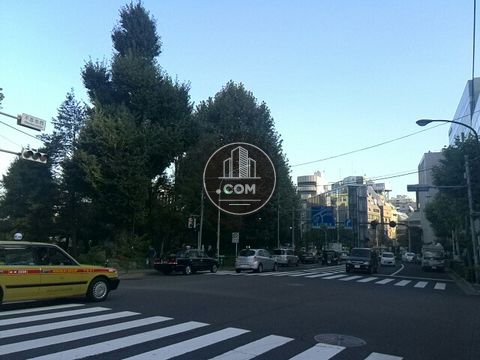 大通り