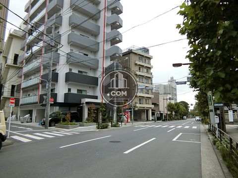 大通り