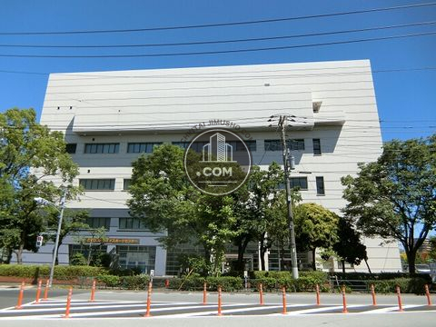 大通り