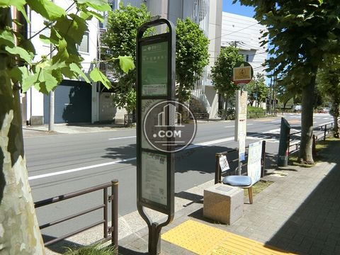 大通り