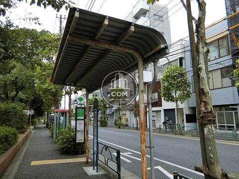 大通り