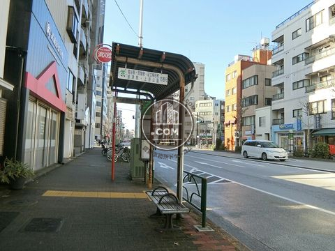 大通り
