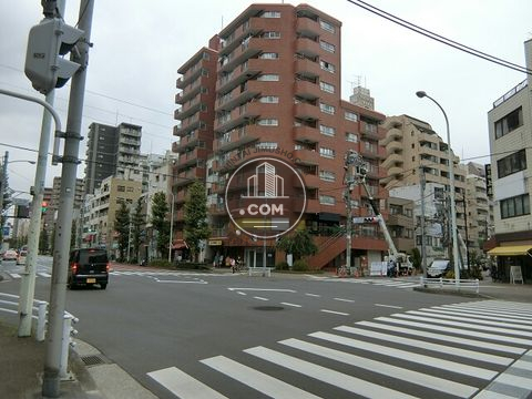 大通り