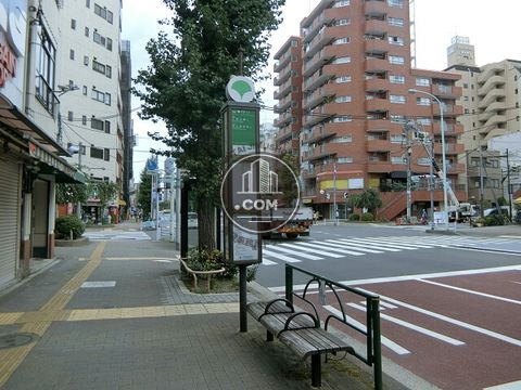 大通り