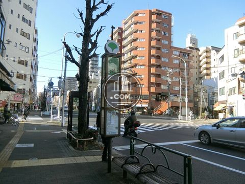 大通り