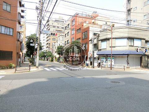 大通り