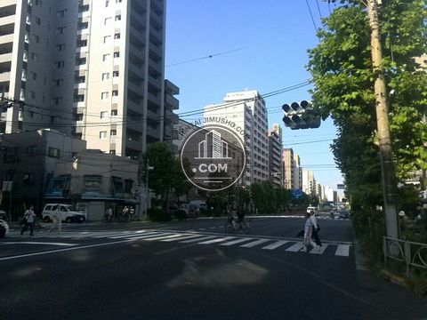 大通り