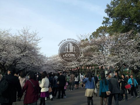 ランドマーク