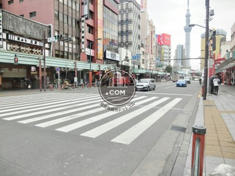 大通り