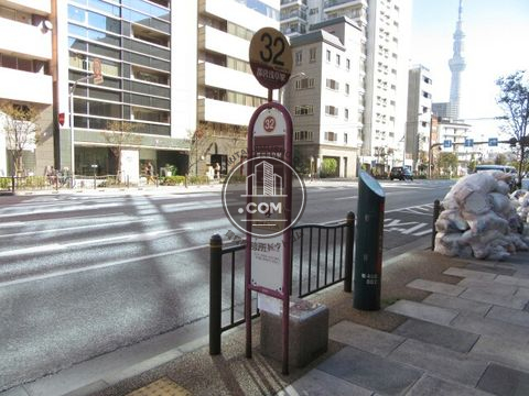 大通り