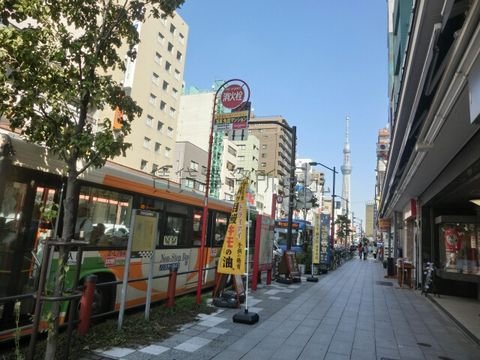 スカイツリーが見えます
