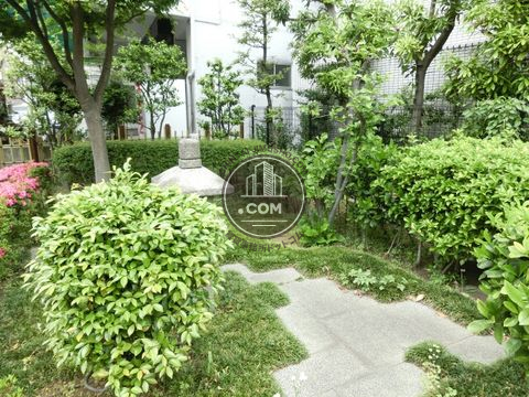大通り
