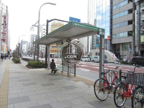 大通り
