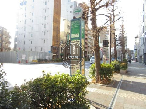 大通り