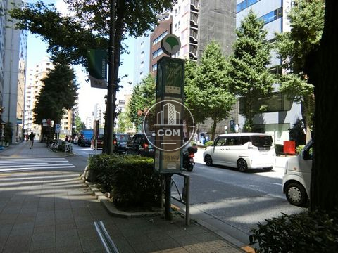 大通り