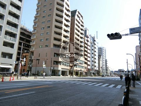 大通り