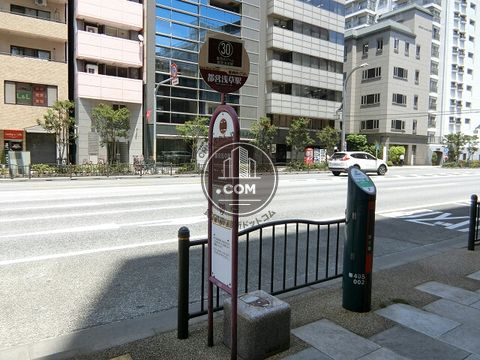 大通り