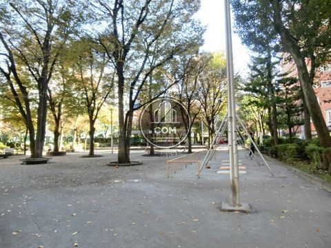 裏路地