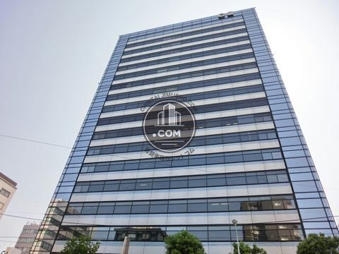 大通り