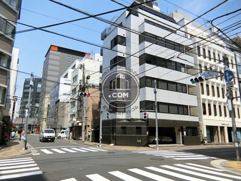 大通り
