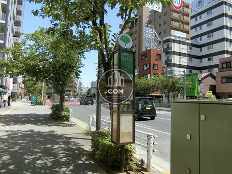 大通り