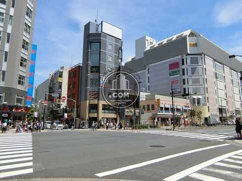 大通り