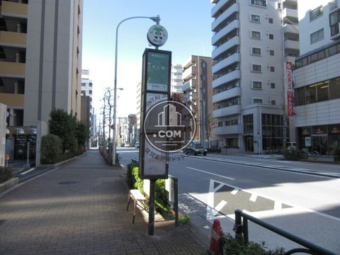 大通り